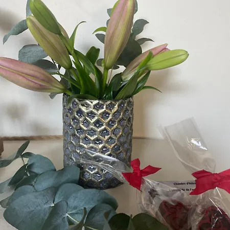 Privat bolig L'hirondelle Du Faubourg