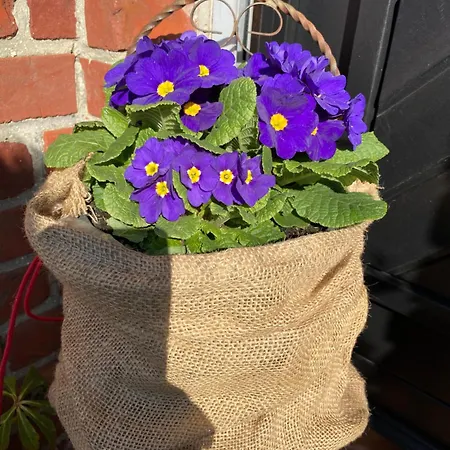 L'hirondelle Du Faubourg Privatunterkunft