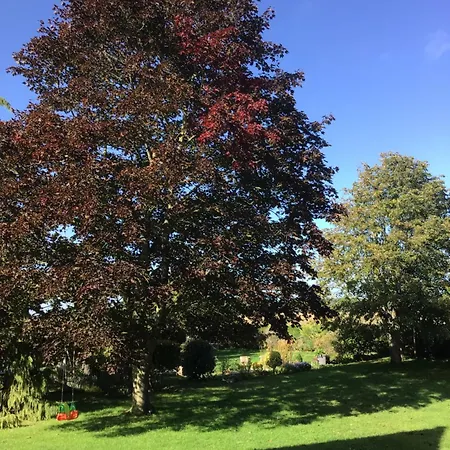 Privat bolig L'hirondelle Du Faubourg Saudemont