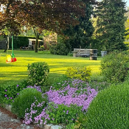 L'hirondelle Du Faubourg *