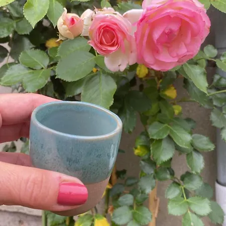 L'hirondelle Du Faubourg