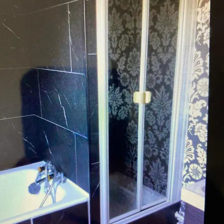 L'hirondelle Du Faubourg *