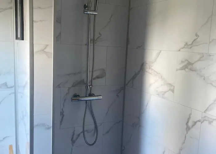 L'hirondelle Du Faubourg *