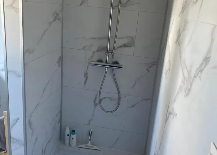 L'hirondelle Du Faubourg