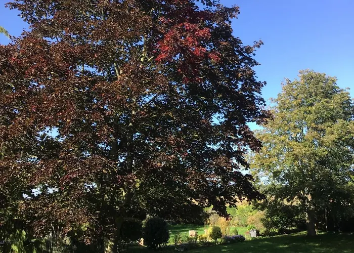 Alloggio in famiglia L'hirondelle Du Faubourg Saudemont