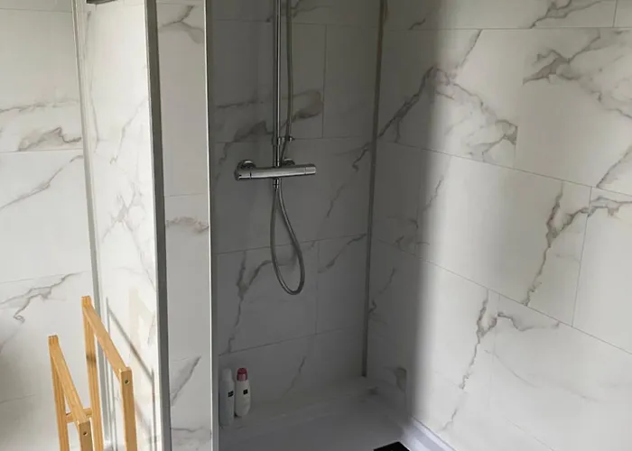 L'hirondelle Du Faubourg *